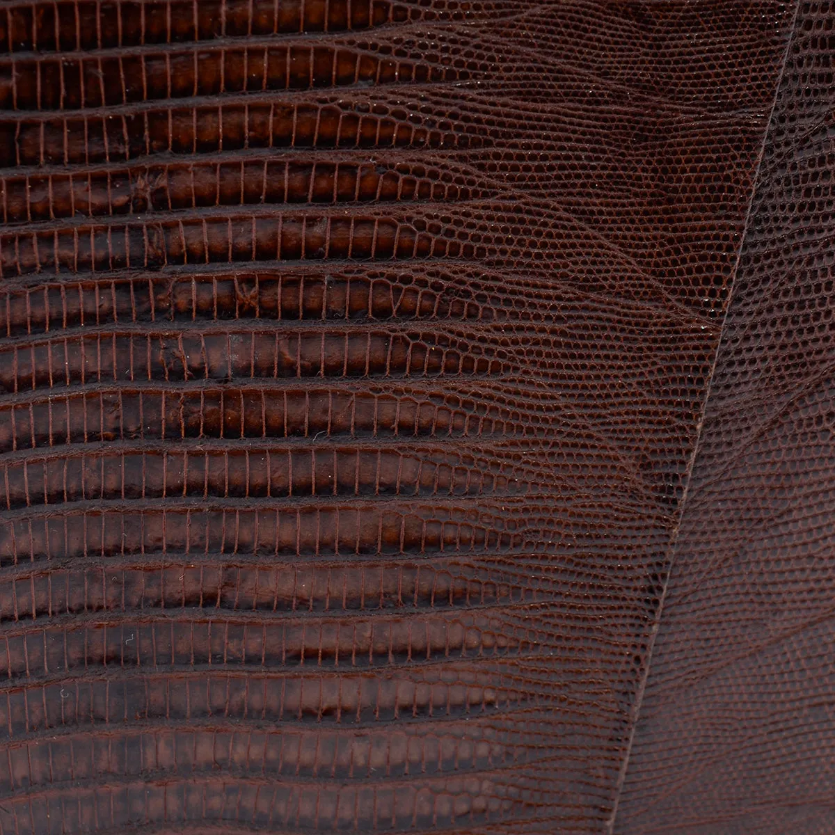 1950s Sydney California Brown Lizard Leather Handbag