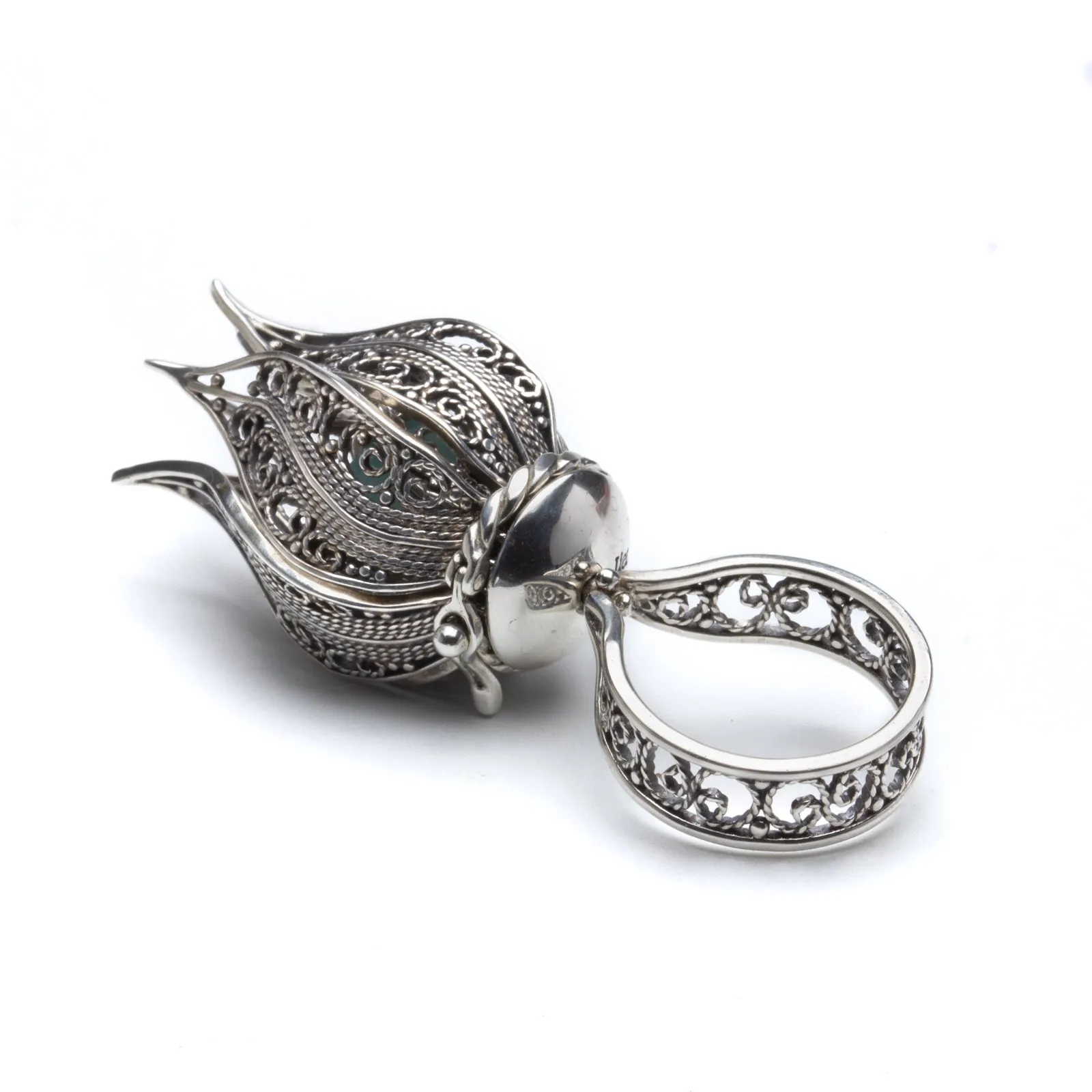 Michelle Lierre - The Wonder Tulip