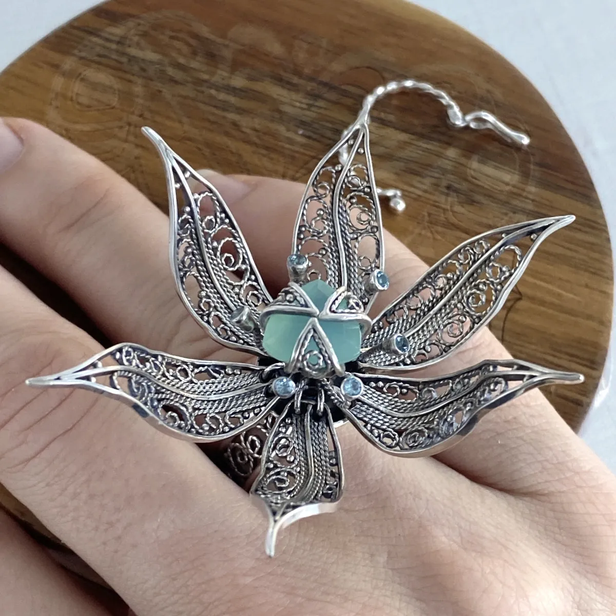 Michelle Lierre - The Wonder Tulip