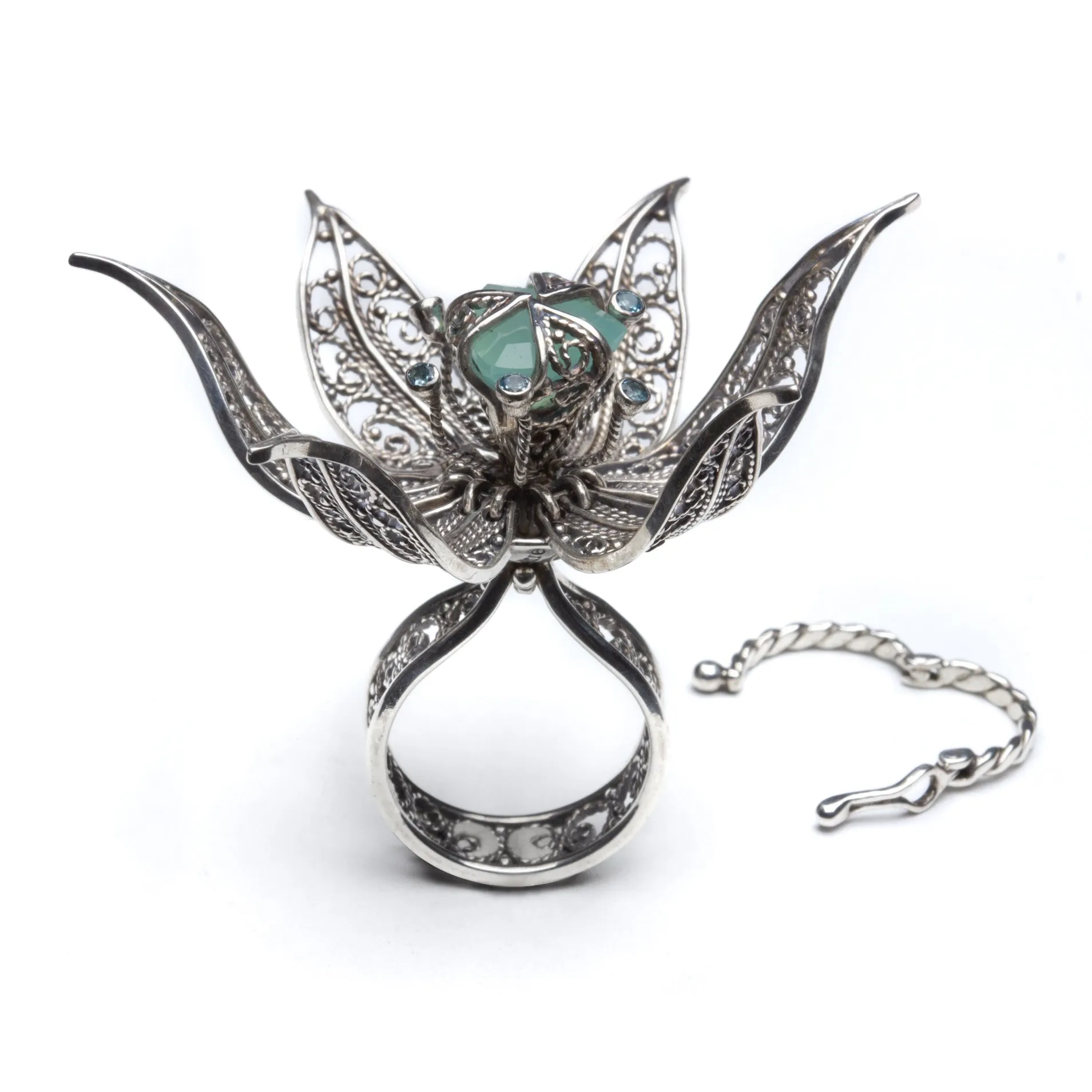 Michelle Lierre - The Wonder Tulip