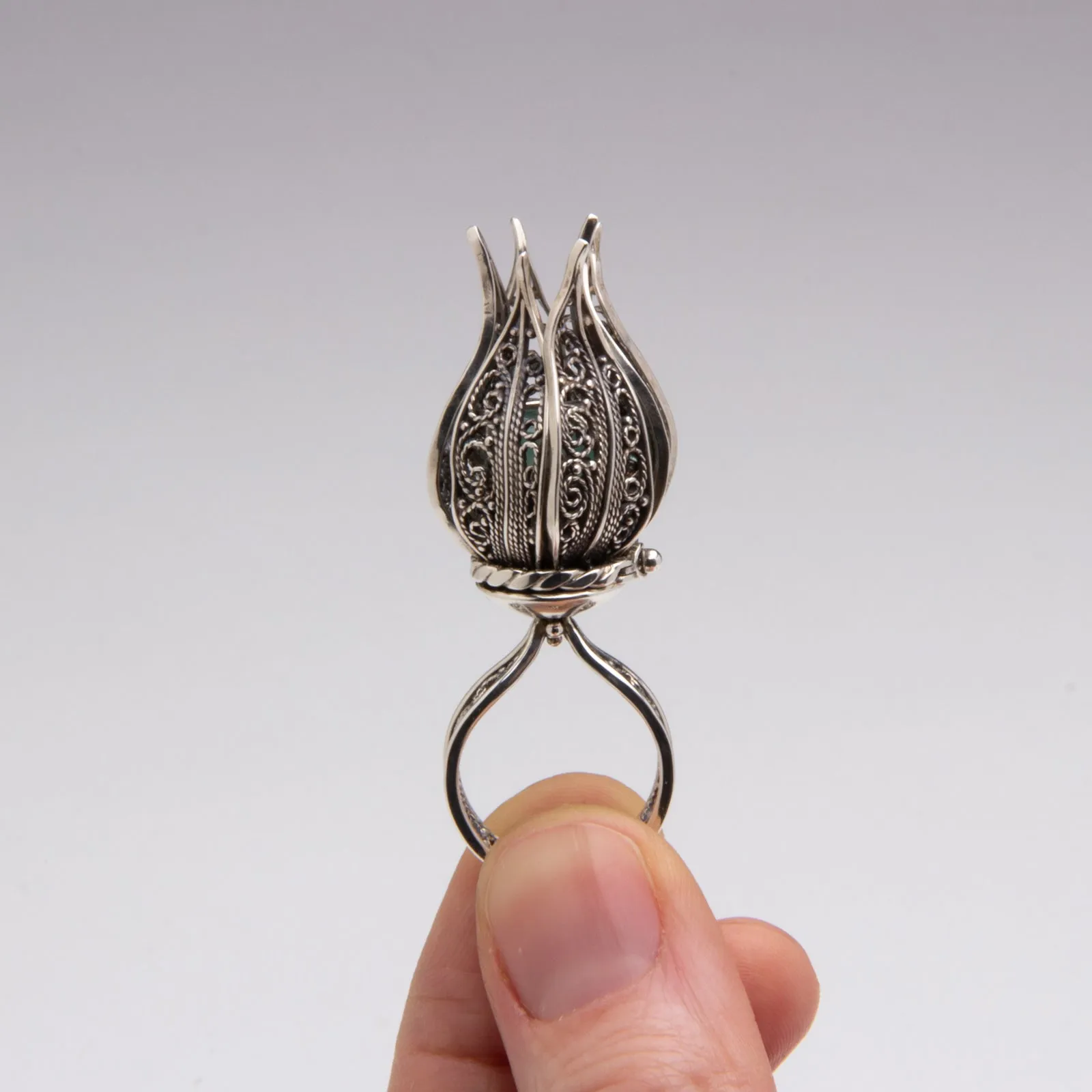 Michelle Lierre - The Wonder Tulip